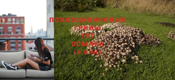 спайс Вяземский