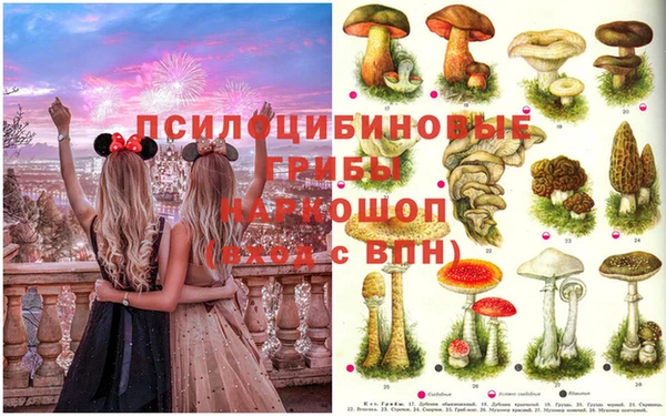 мяу мяу мука Вязники