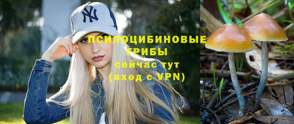 мескалин Вязьма