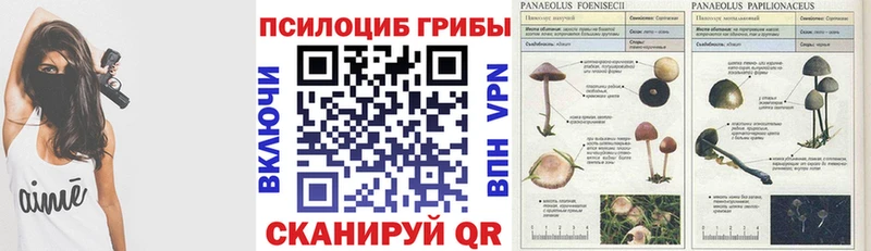 Галлюциногенные грибы мицелий блэк спрут рабочий сайт Сургут